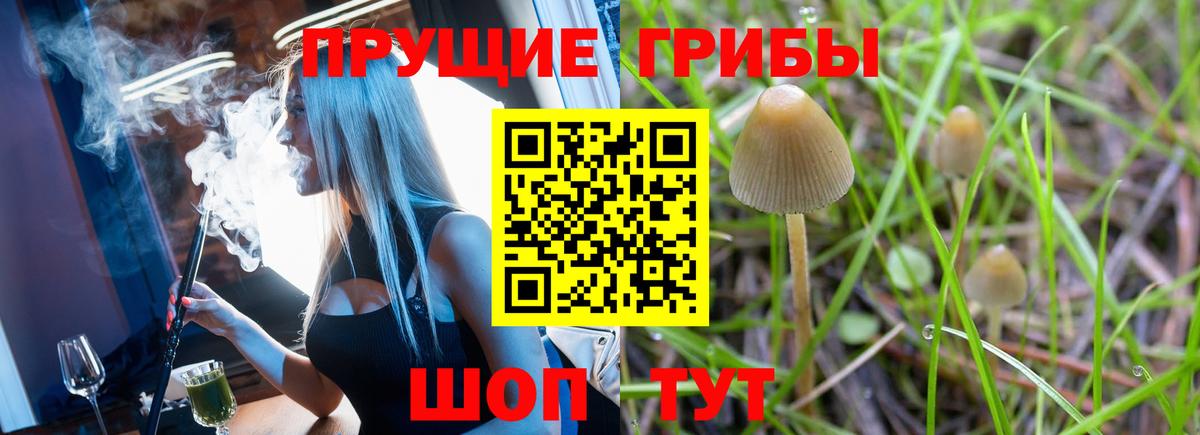 Дубна  Галлюциногенные грибы Magic Shrooms  Вход с VPN 
